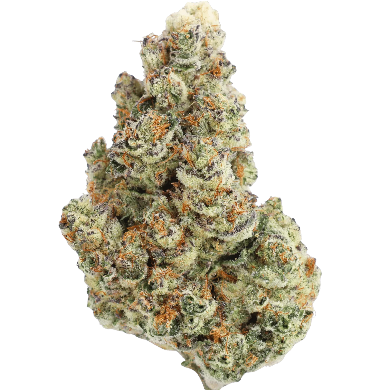 WO - GOLDEN JACK - 2 GRAMS