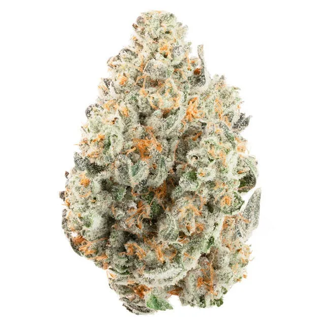 Fat Kitty Flower 14g