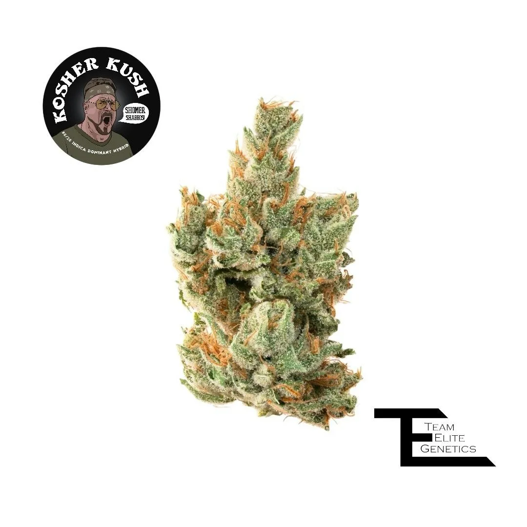 Kosher Kush