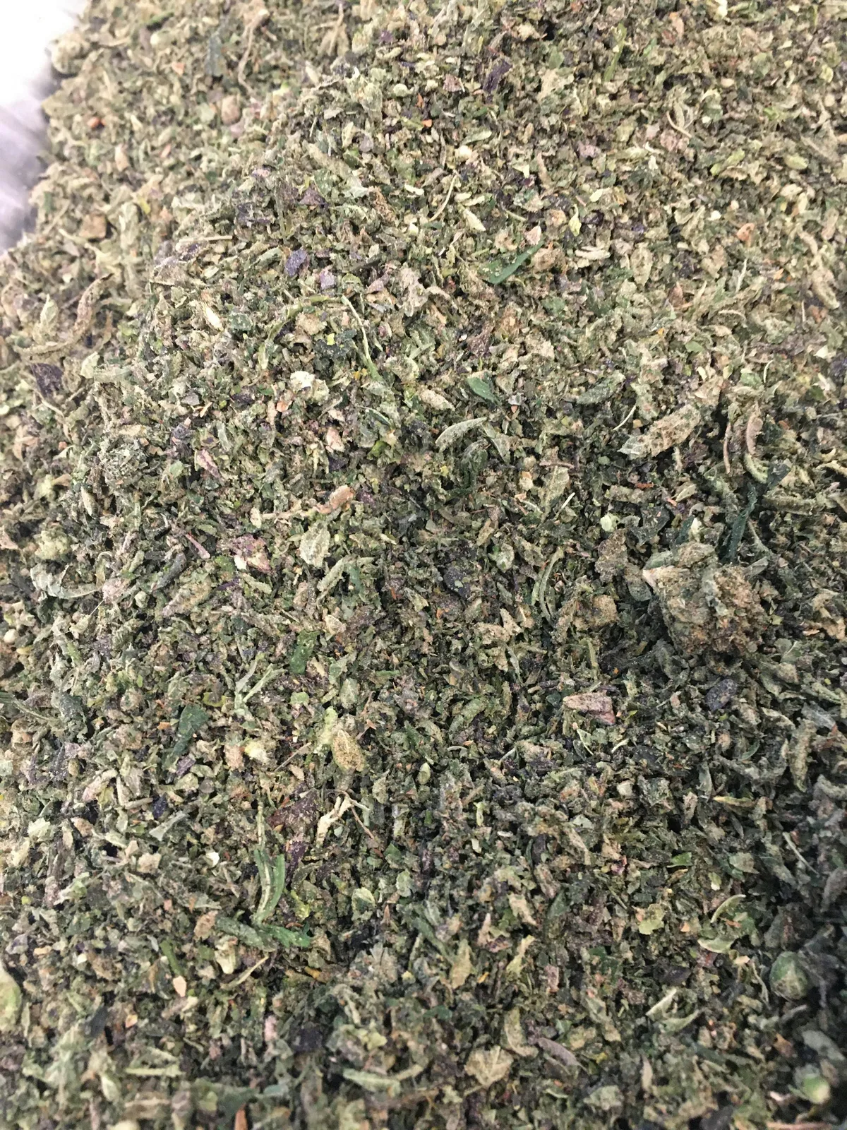 2oz GELATO SUGAR SHAKE SPECIAL NO TRIM NO STEMS READY TO ROLL