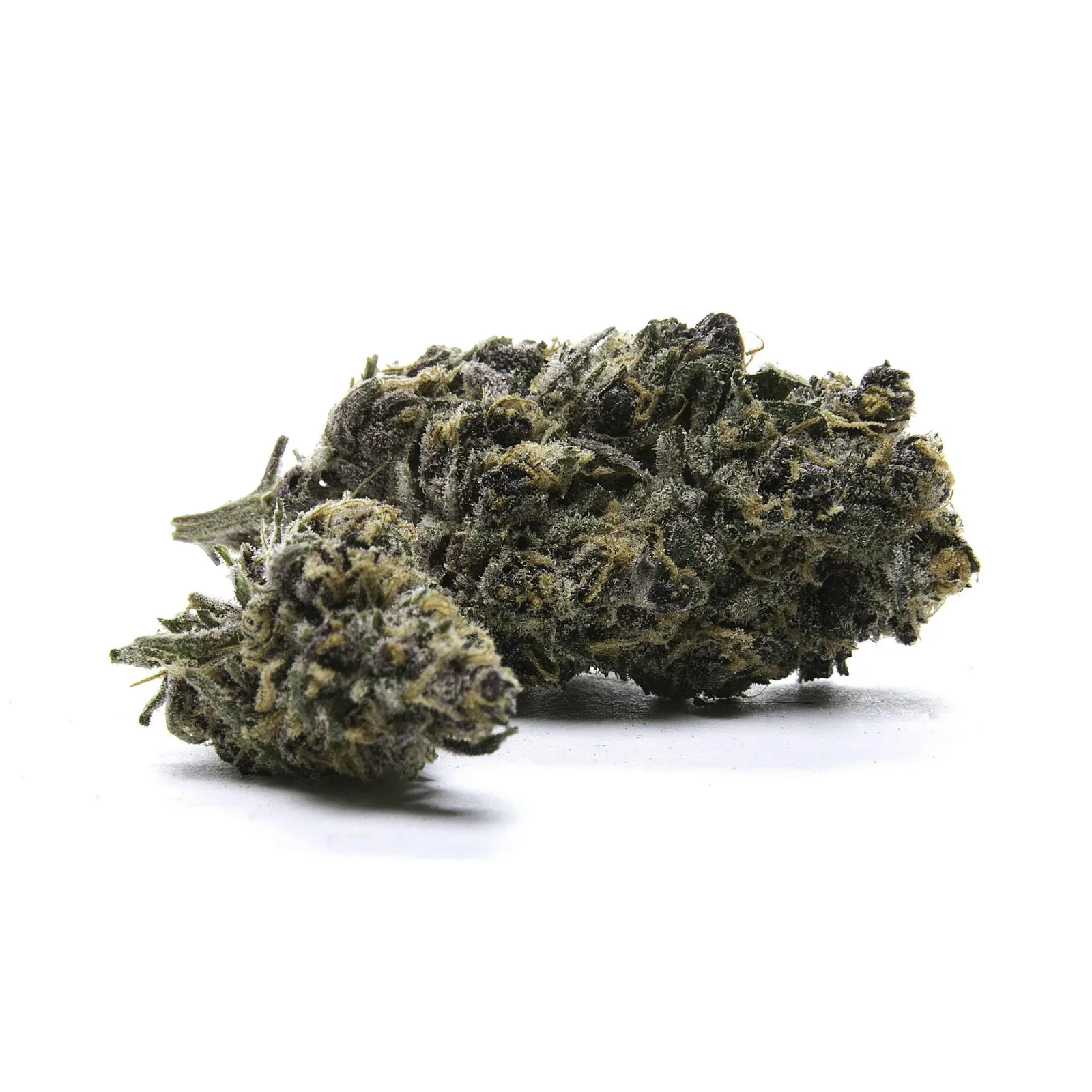 The Cure Company - Rosin - Pineapple Haze - 1g