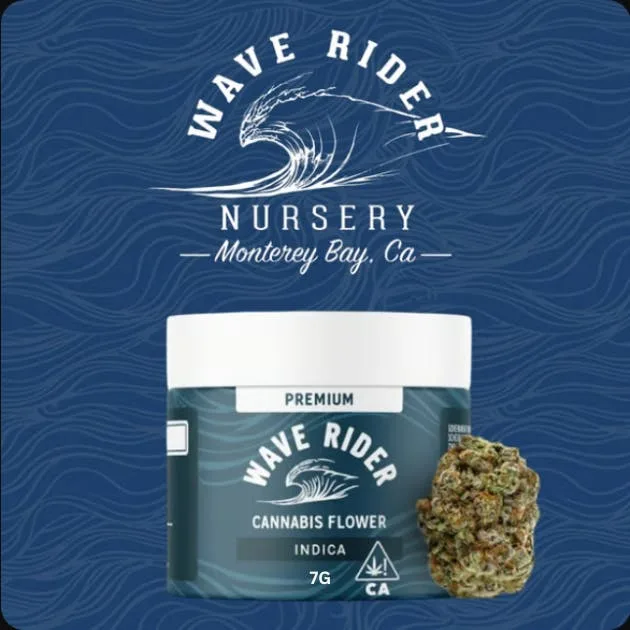 WAVE RIDER - SOUR BUBBA (7G) [I]