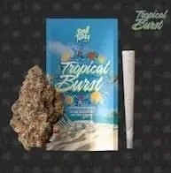 TROPICAL BURST (1G Pre-Roll)