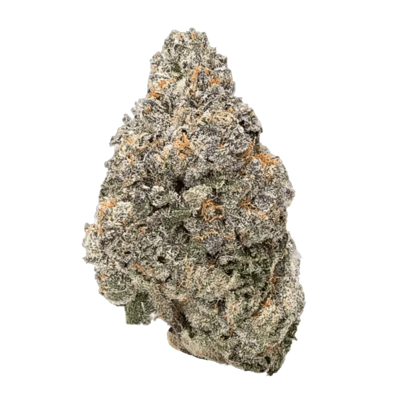 CANDY BABA: Top Shelf, Hybrid, Indoor, NEW DROP