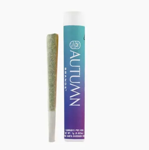Sundaze - Gush Mintz - Indica - Preroll - 1 Gram