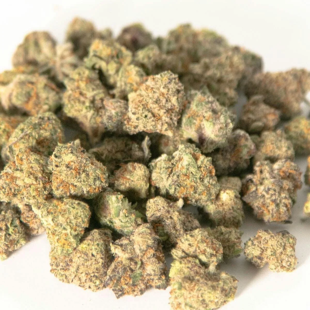 Black Runtz (Smalls) - Premium House Flower 36.5% - 1oz. 28g.