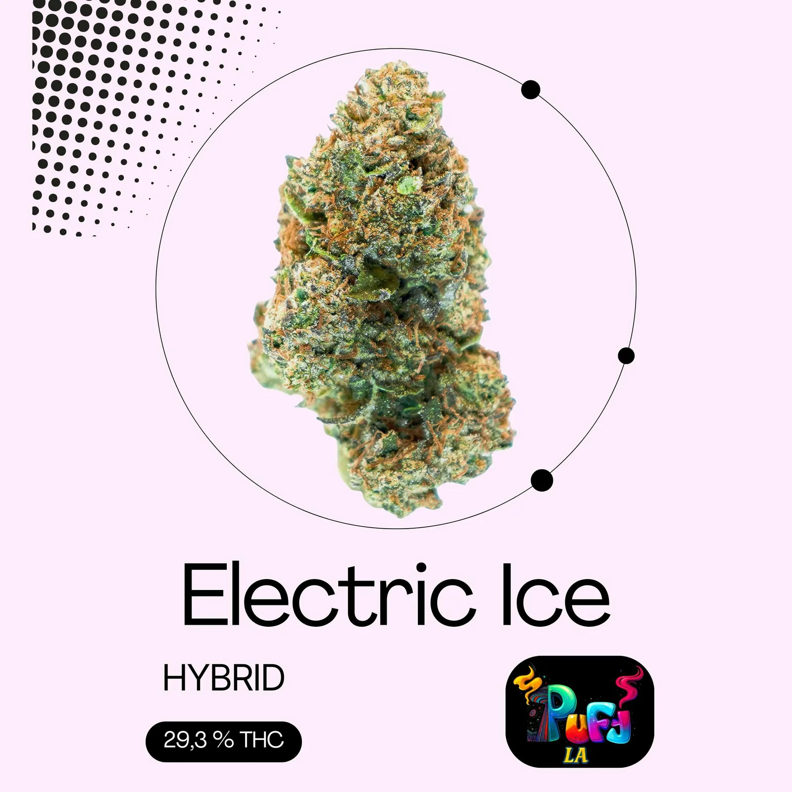 Electric Ice - Premium Shelf Flower