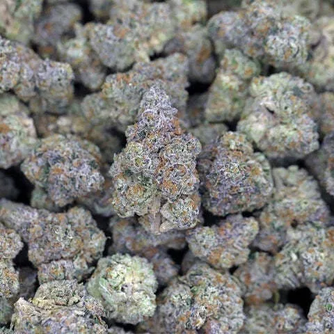 Lemon Cherry Gelato (Pink Runtz) smalls