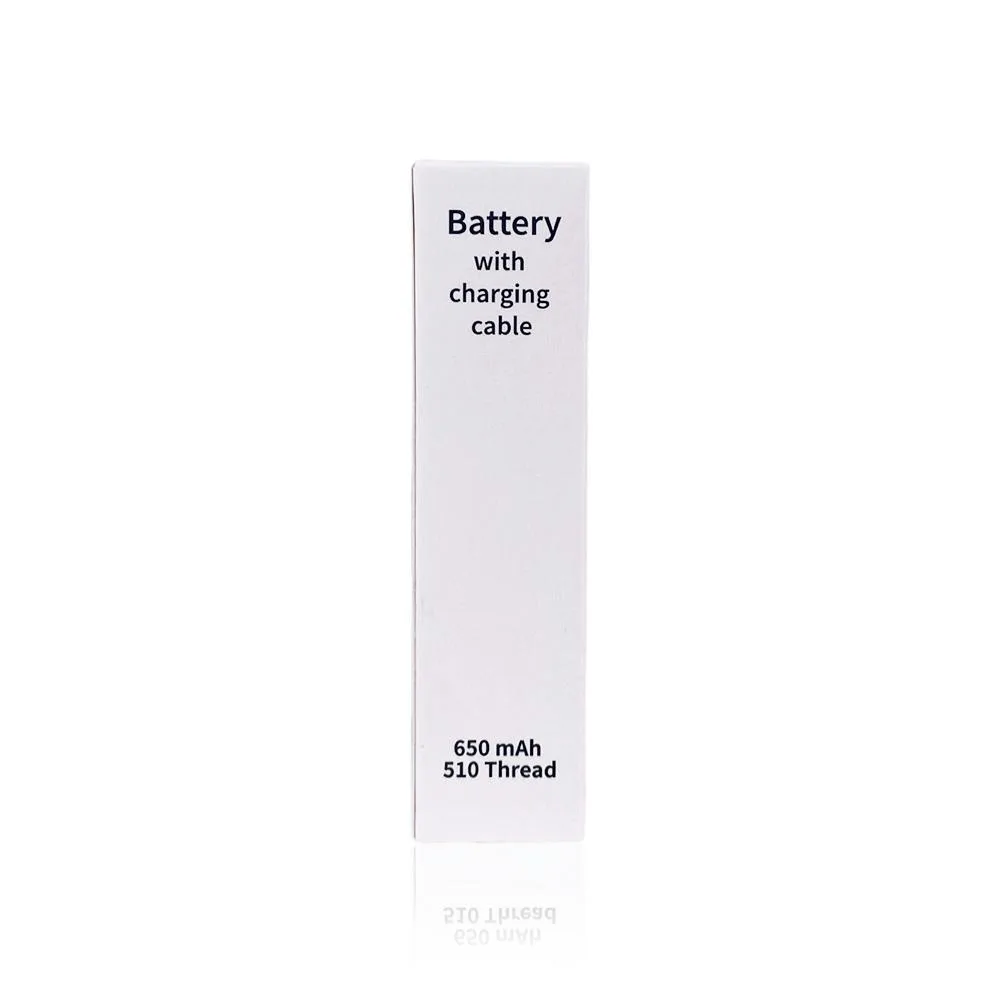 650MAH - Battery - 650mAh Rechargeable