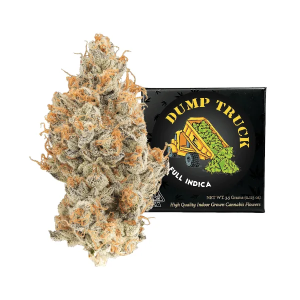 Dump Truck
