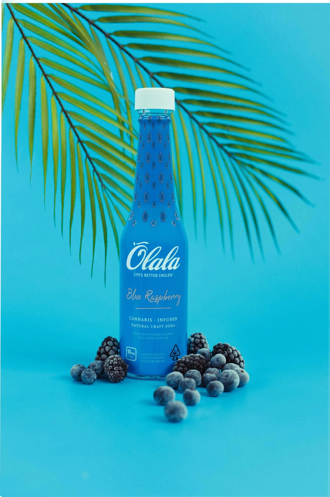 Infused Craft Soda - 10mg - Blue Raspberry