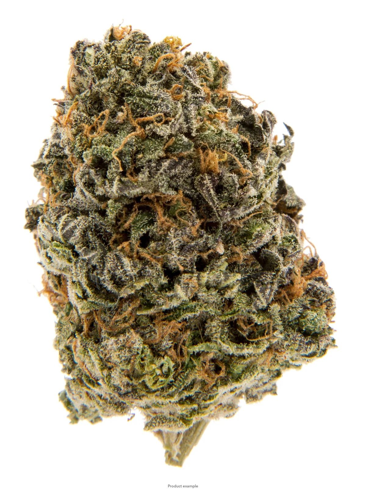 Marrakesh: Top Shelf New Drop