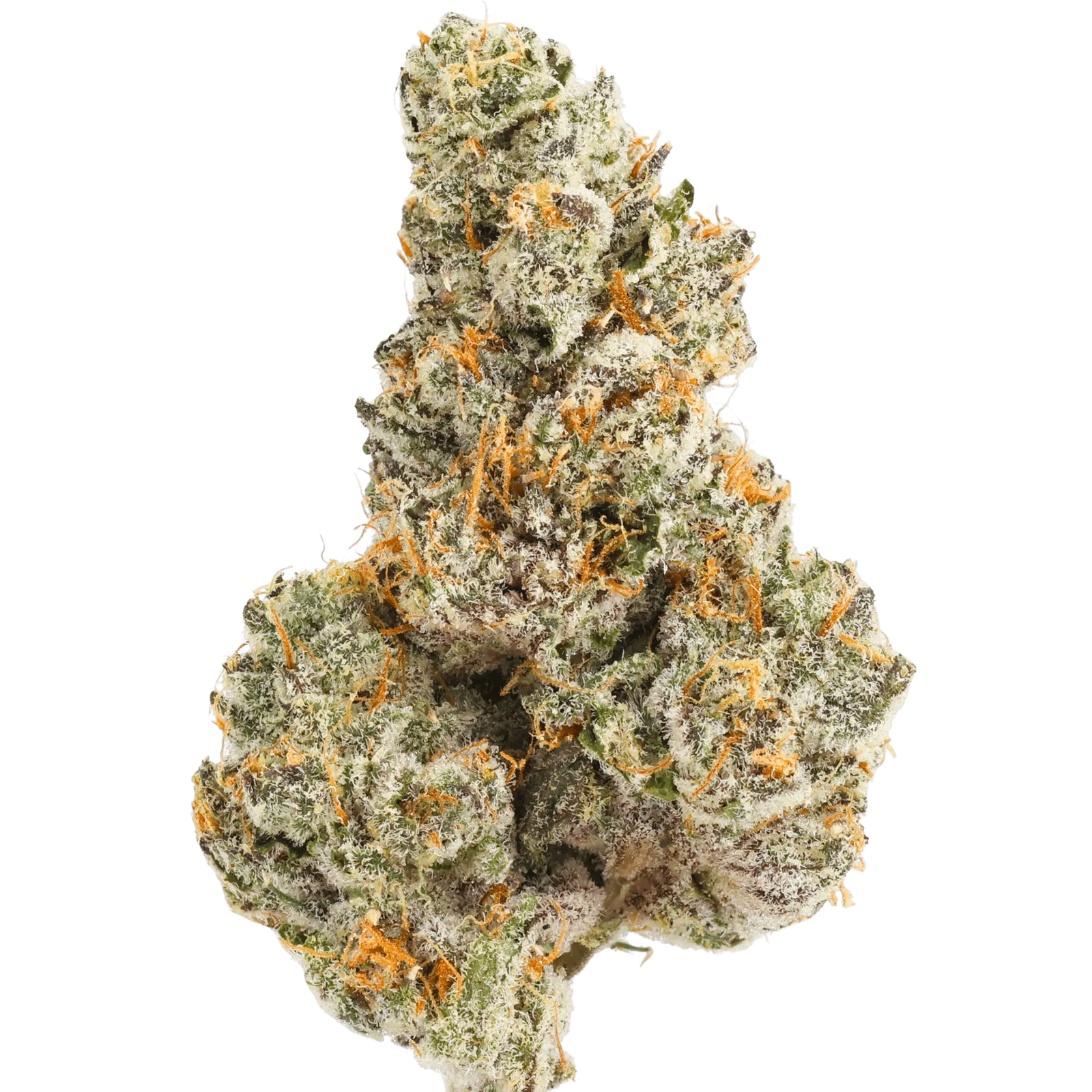 AMC - STICKY BUNZ - 5 GRAMS