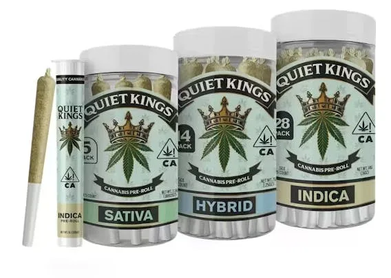 QUIET KINGS APPLESCOTTI 14PK 0.5G