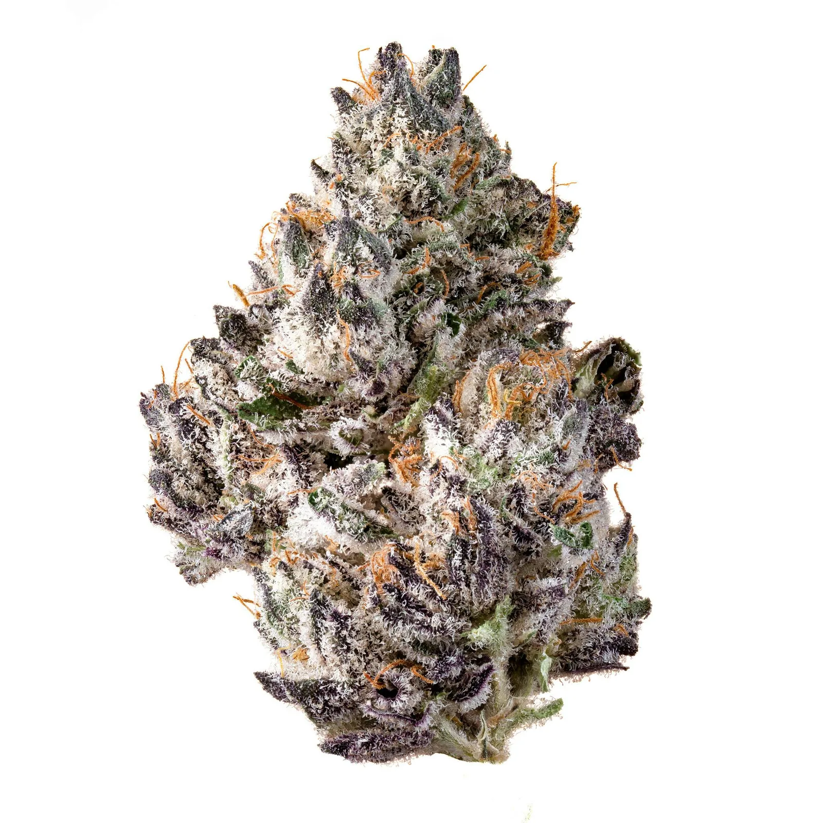 Tropicanna Cherries Flower 3.5g