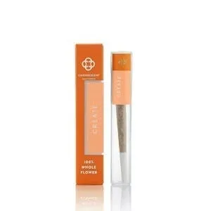 Canndescent- Create (LCG) Preroll 1g (S)