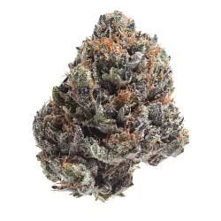 Candy Cane — Indoor Flower /Hybrid