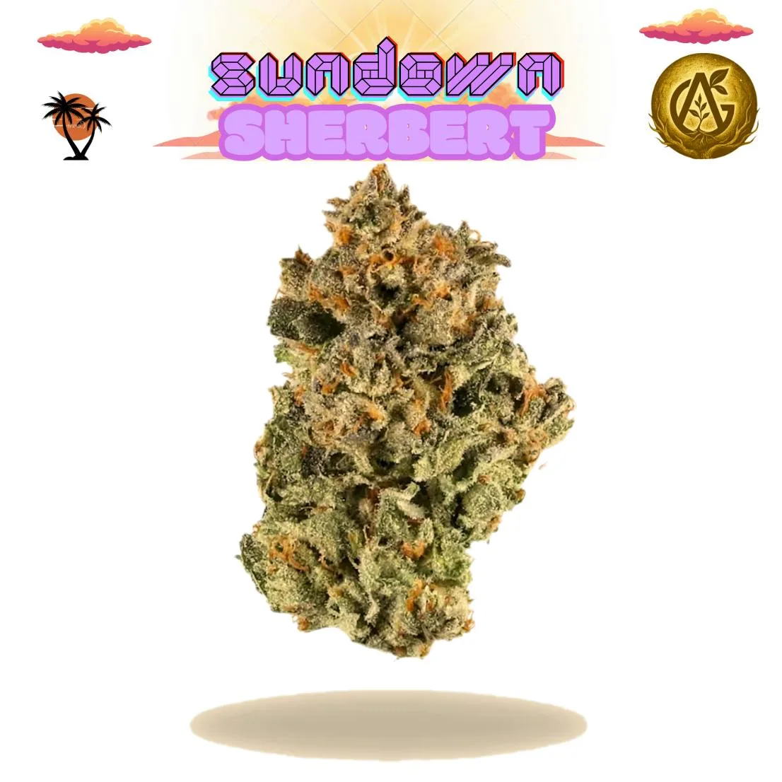 Sundown Sherbert (Smalls)-14G-[TOP] -Exclusive Flower