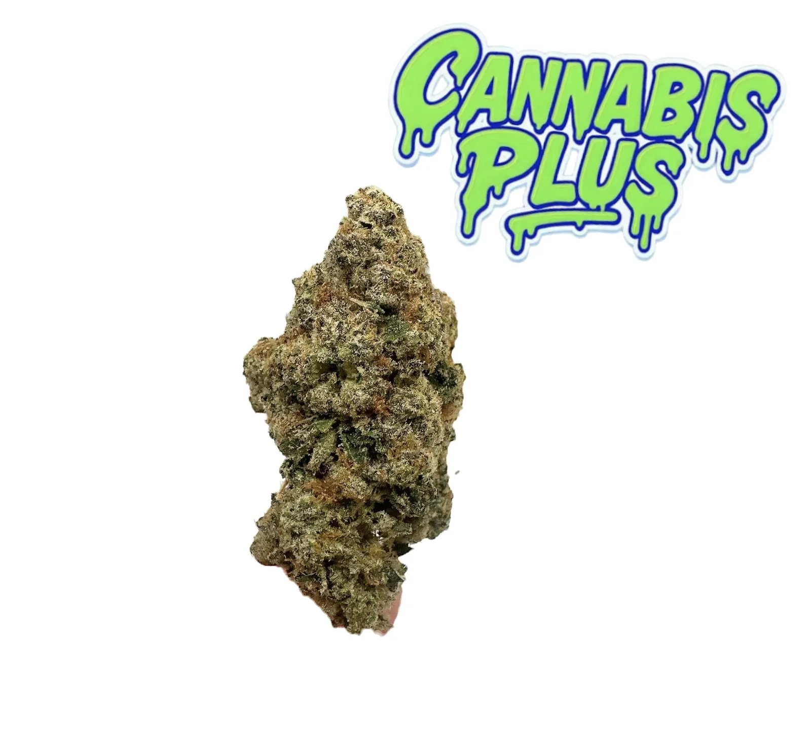 Tier 2 | Williams Wonder | Indica