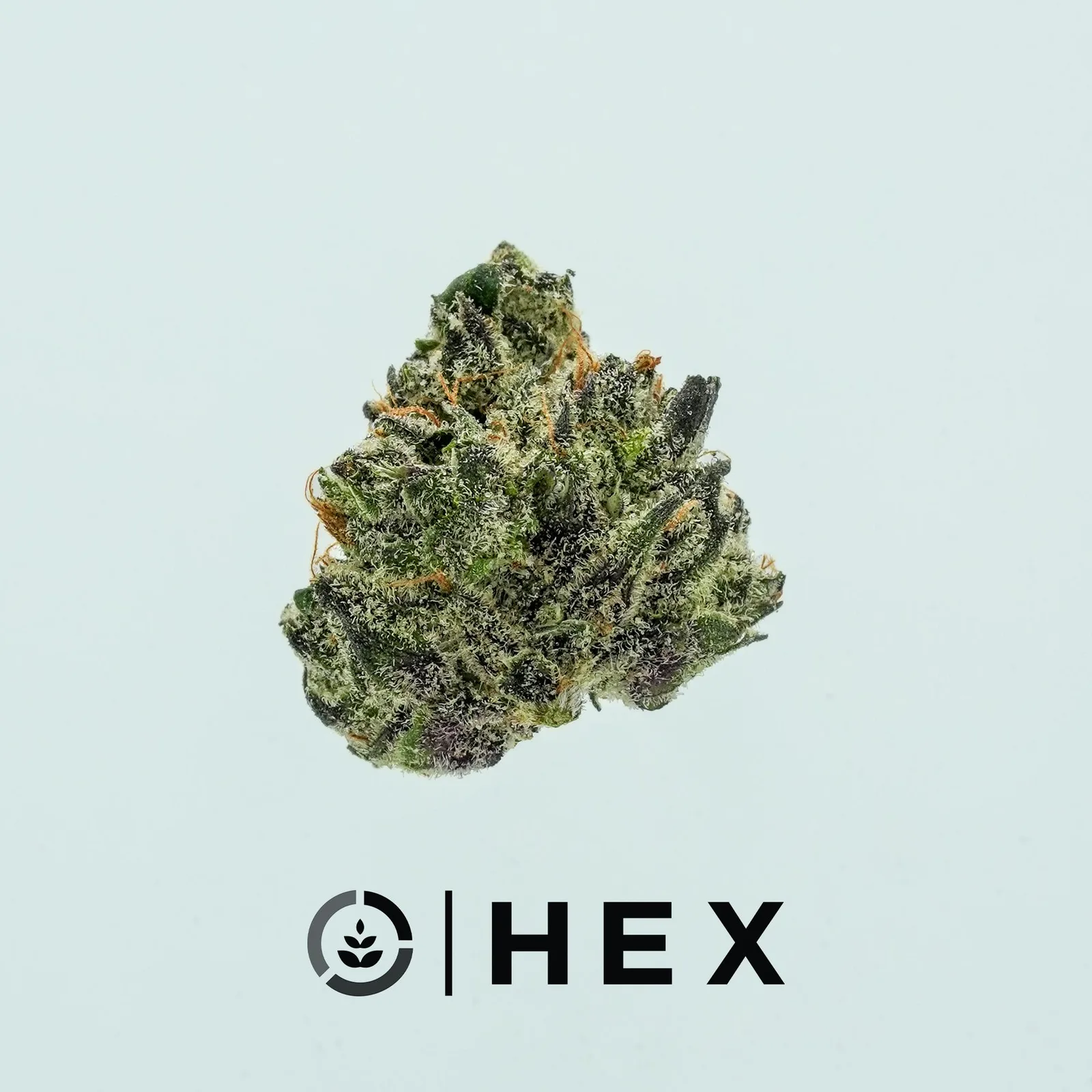 HEX | Tropical Runtz Smalls | 7G