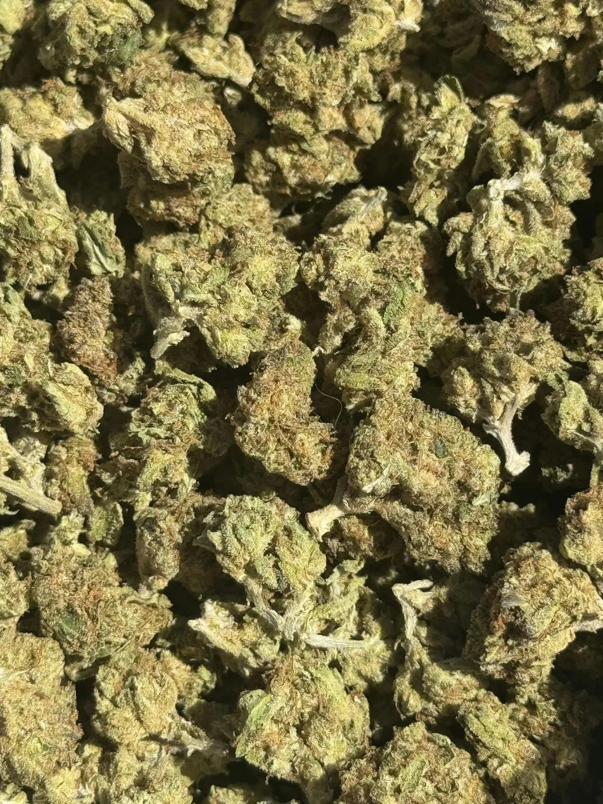 [Gaia's Garden] 14g Premium Greenhouse Smalls - Carbon Fiber