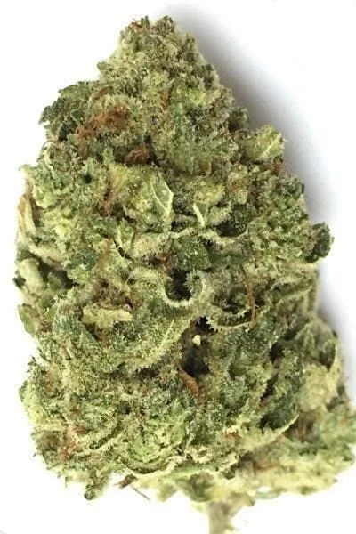 Wedding Cake 28G INDICA PREMIUM