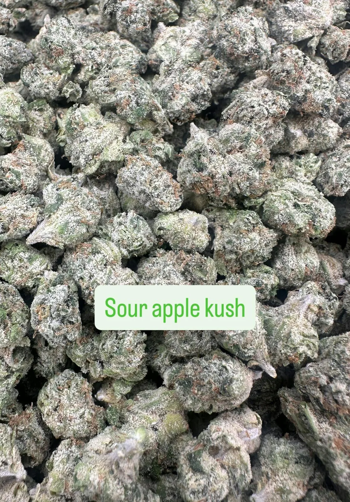 Sour Apple Kush
