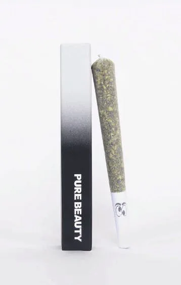 Pure Beauty - Bermuda Triangle - 1g Solvetless Infused PreRoll - Infused PR - Hybrid