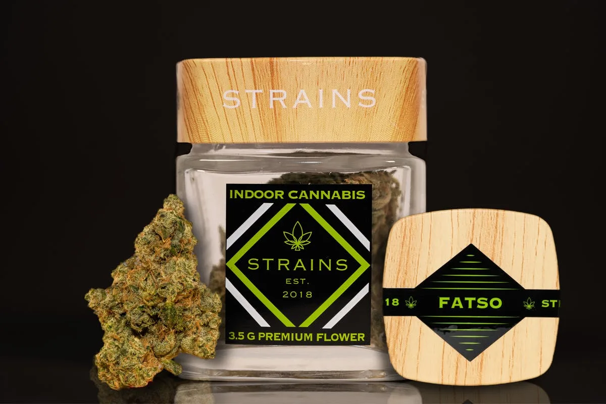 Fatso 3.5G