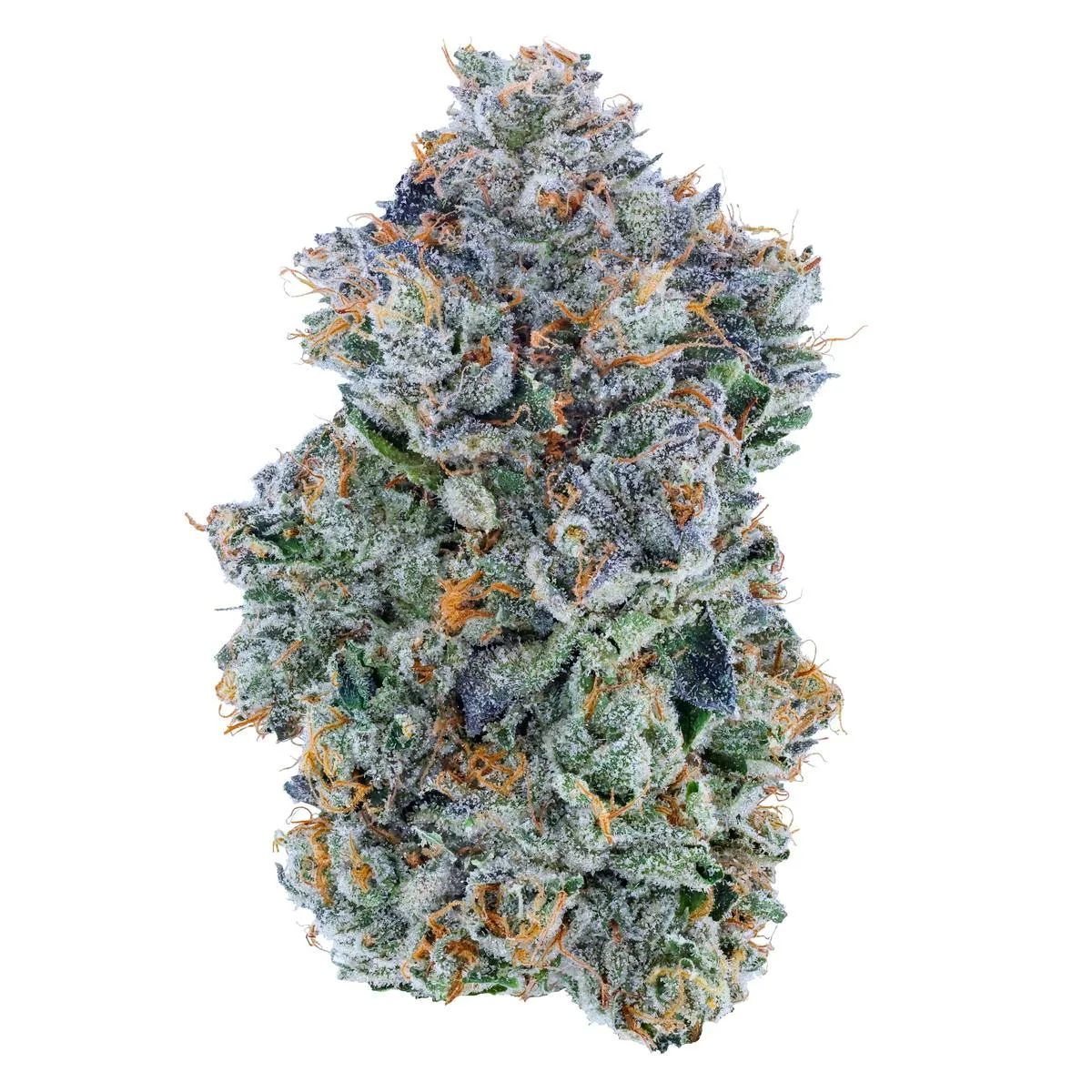 Blue Face