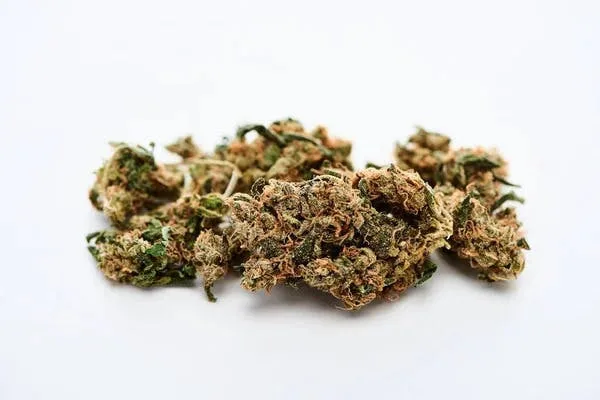 Green Apple Gas 14g Mixed Light Flower - Hybrid
