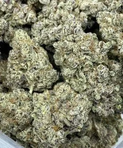PURPLE MILK 1/2 Ounce 31.19% THC