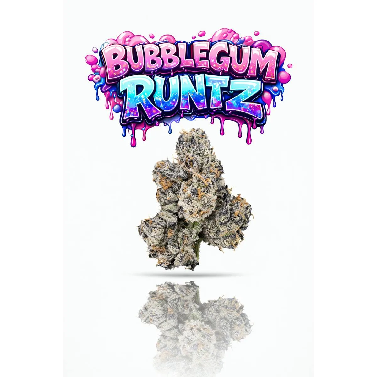 KINGS - BUBBLEGUM RUNTZ- 28G | TOPSHELF INDOOR FLOWER