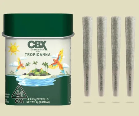 CBX - Tropicanna - Pre-roll 4pk