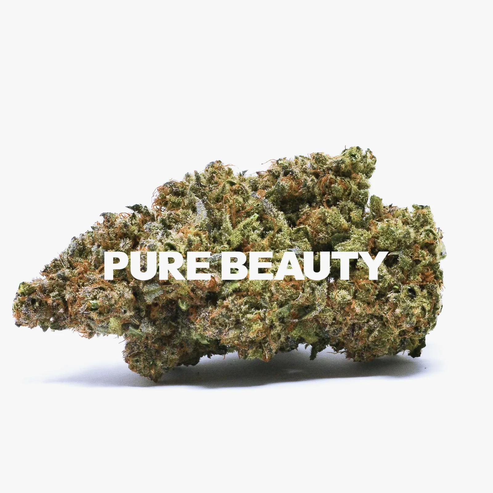 Terry T | 3.5g Indoor