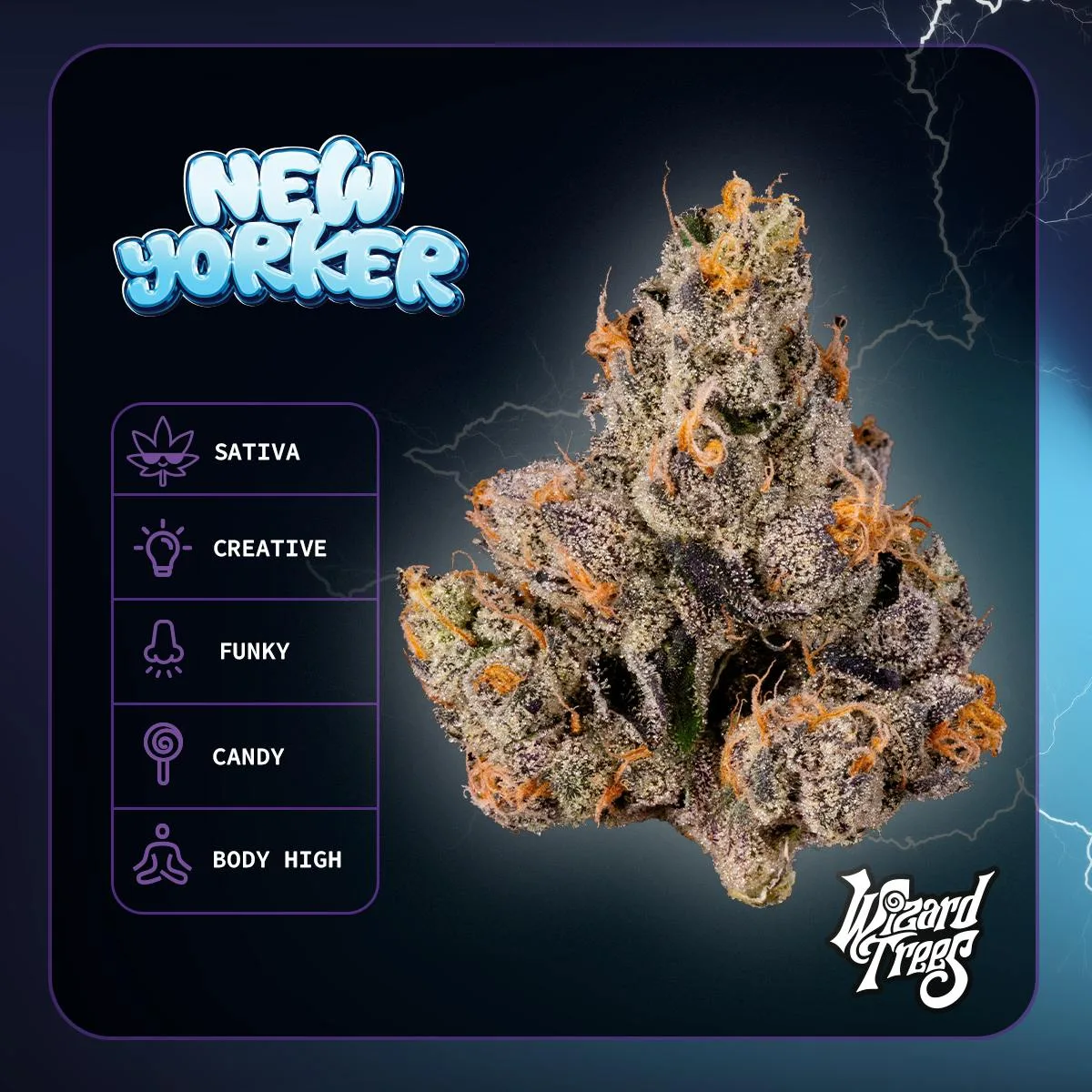 Wizard Trees | 3.5g Flower - New Yorker