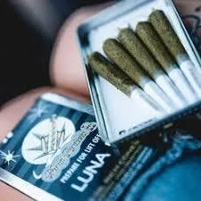 Moonrocket La 5pk Preroll- Luna 5