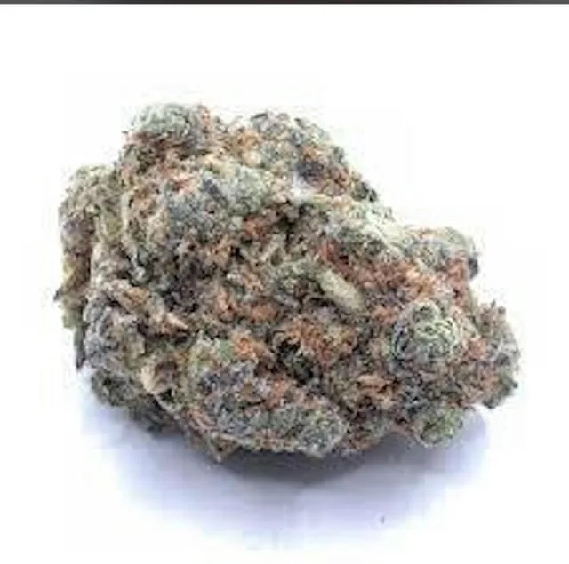 PLATINUM SUGAR COOKIES HYBRID