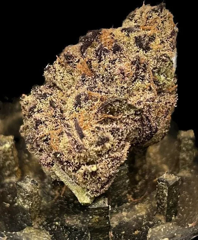 Black Caviar - Indica - 33.9% THC