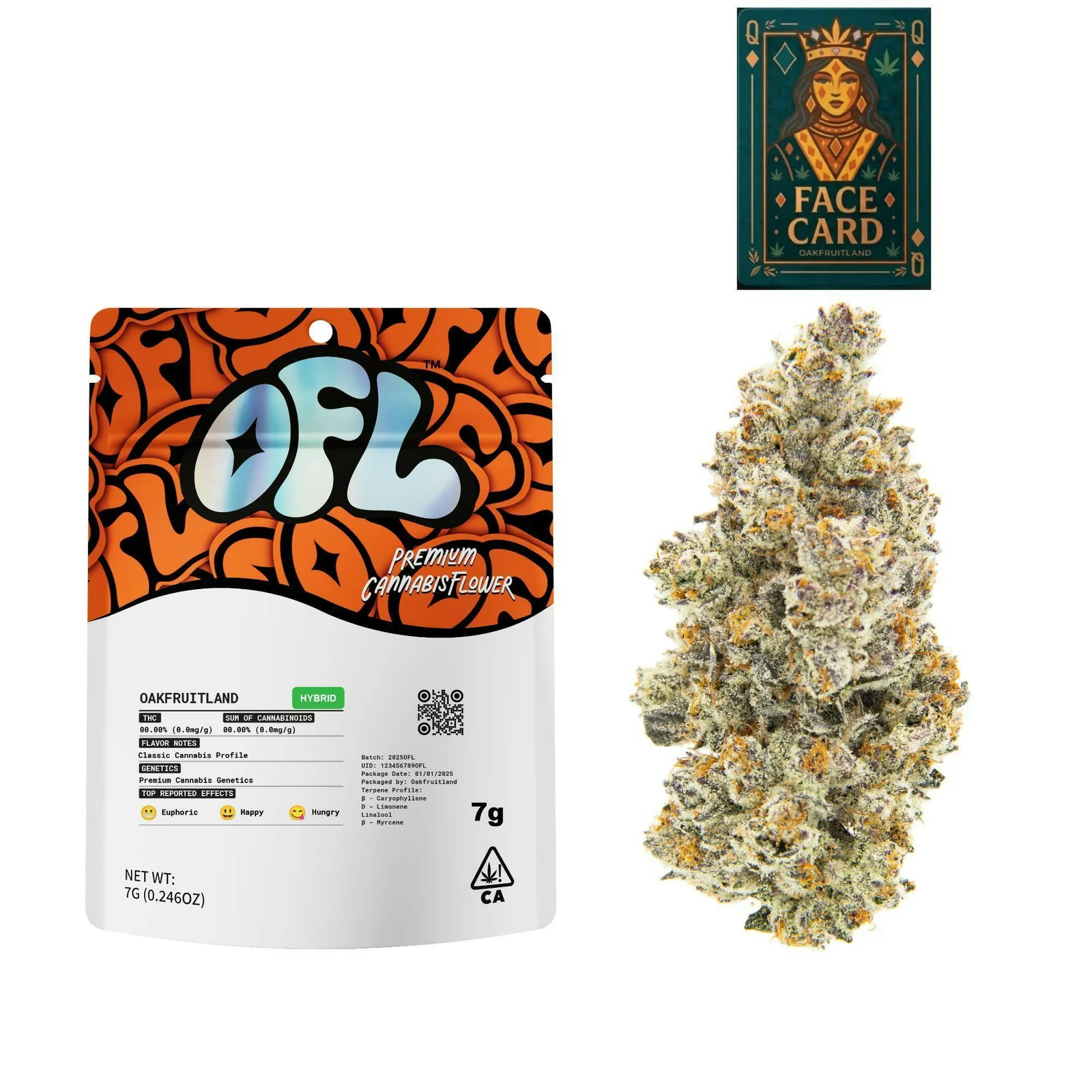 3.5G - FACE CARD - H
