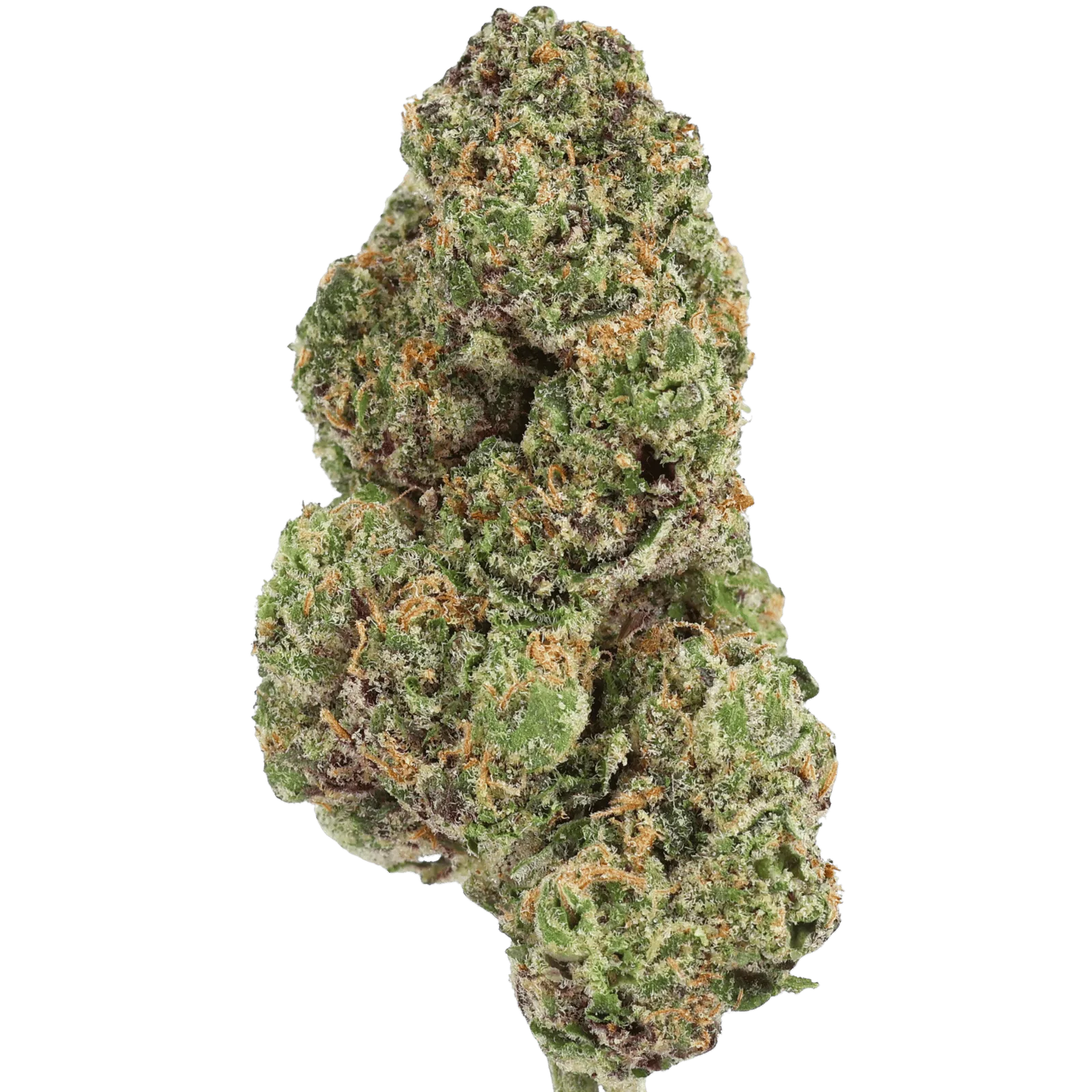GH - BOB MARLEY OG - 5 GRAMS