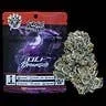 Violet Dreamsicle | Flower | 7g