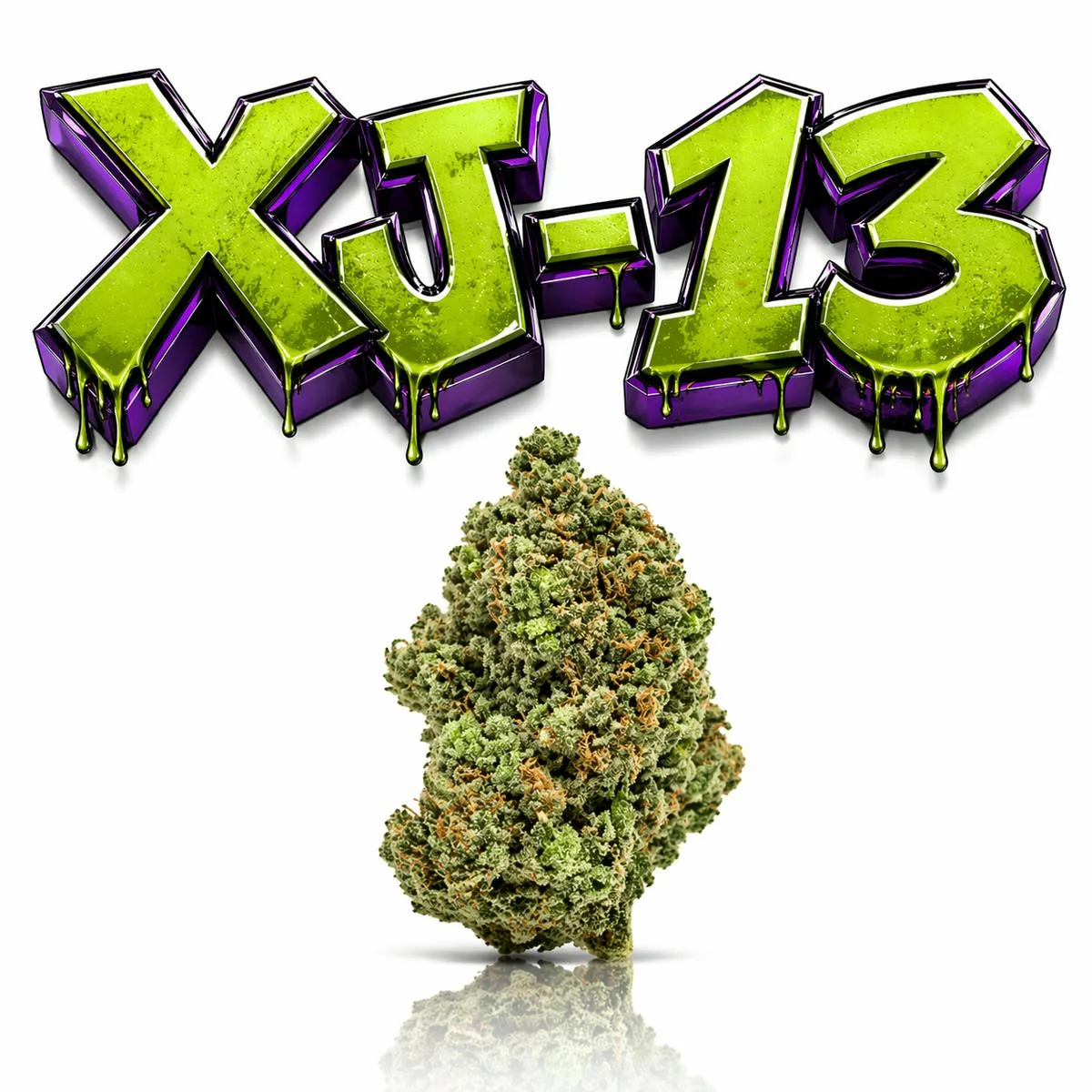 XJ-13 - 28G | INDOOR FLOWER | SATIVA