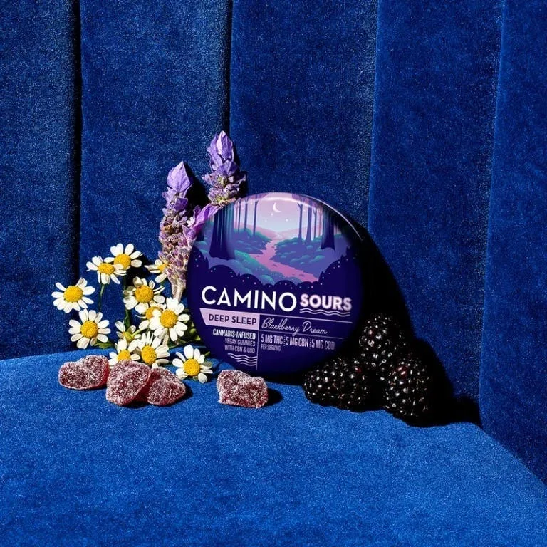 Camino - Sour Blackberry Dream 1:1:1 THC:CBN:CBD 100mg (I)