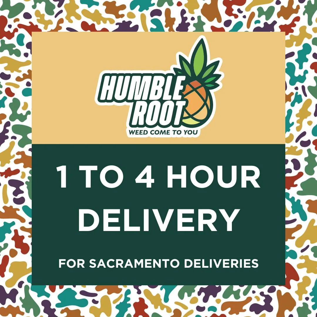 Delivery in 1 to 4 Hours