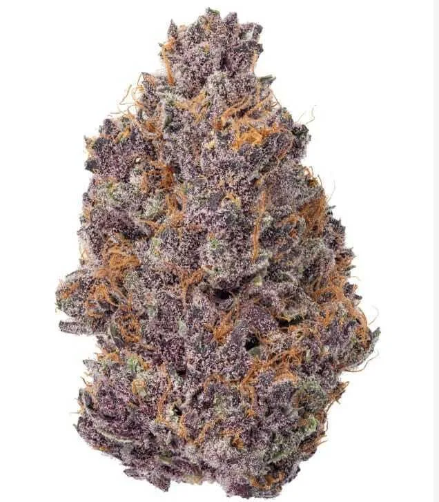 B&D - Bud Dynasty- 3.5g Top Shelf Flower - BLACK LEMON CHERRY - 3.5g