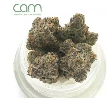 [CAM] Flower - 3.5g - Triangle Mints "Private Reserve"