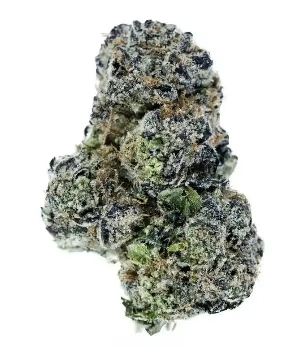 B&D - Bud Dynasty- 3.5g Top Shelf Flower - White Widow - 7g