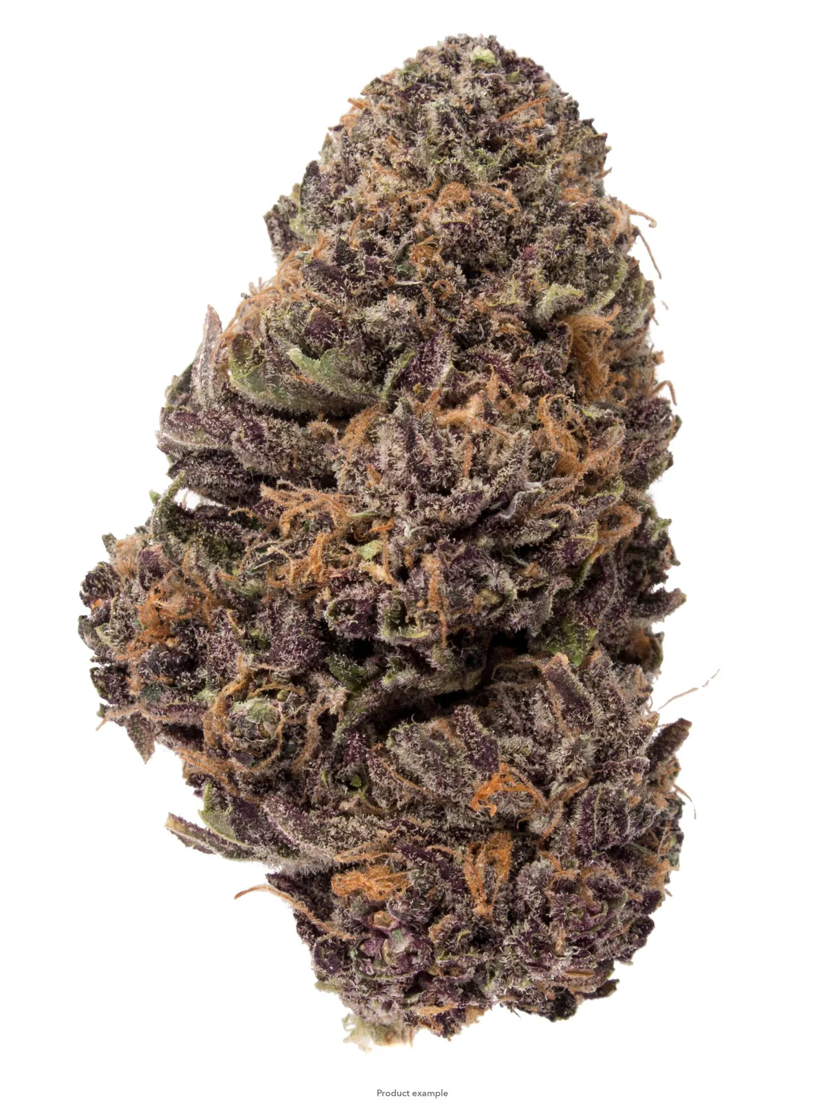 Sugar plum [[5G@$45]]
