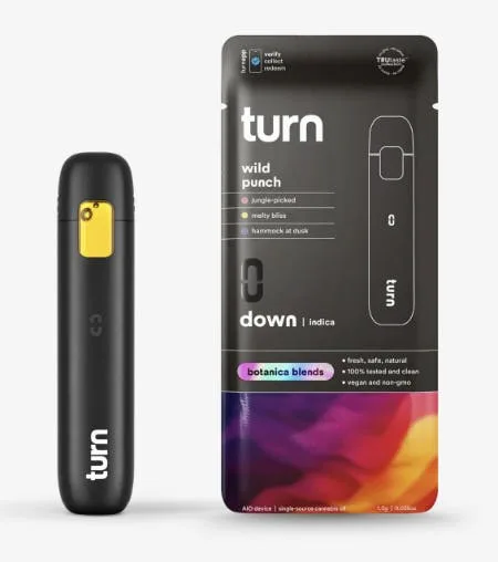turn | Wild Fruit Punch | Disposable | 2g